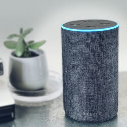 Amazon echo smart speaker